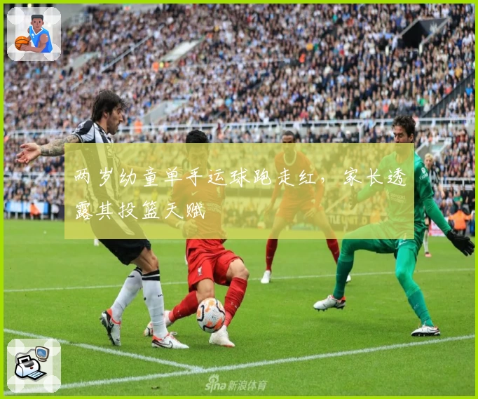 两岁幼童单手运球跑走红，家长透露其投篮天赋