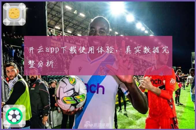 开云app下载使用体验，真实数据完整分析