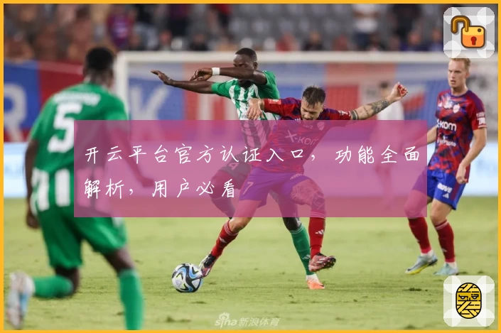 开云平台官方认证入口，功能全面解析，用户必看
