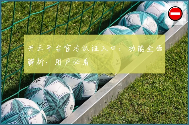 开云平台官方认证入口，功能全面解析，用户必看